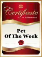 a pet of the week award